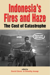 Image of Indonesia's Fires Amd Haze The Cost Of Catastrophe